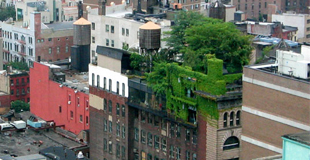 It’s spring — time to plant your roof Image